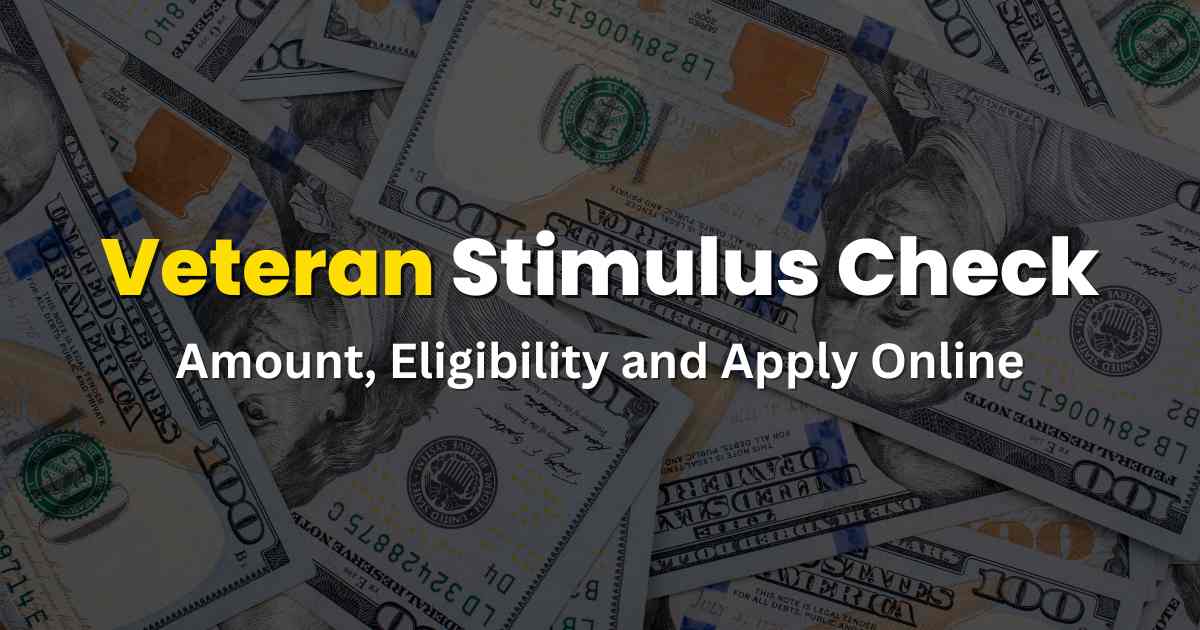 VA Disability Stimulus Check 2024