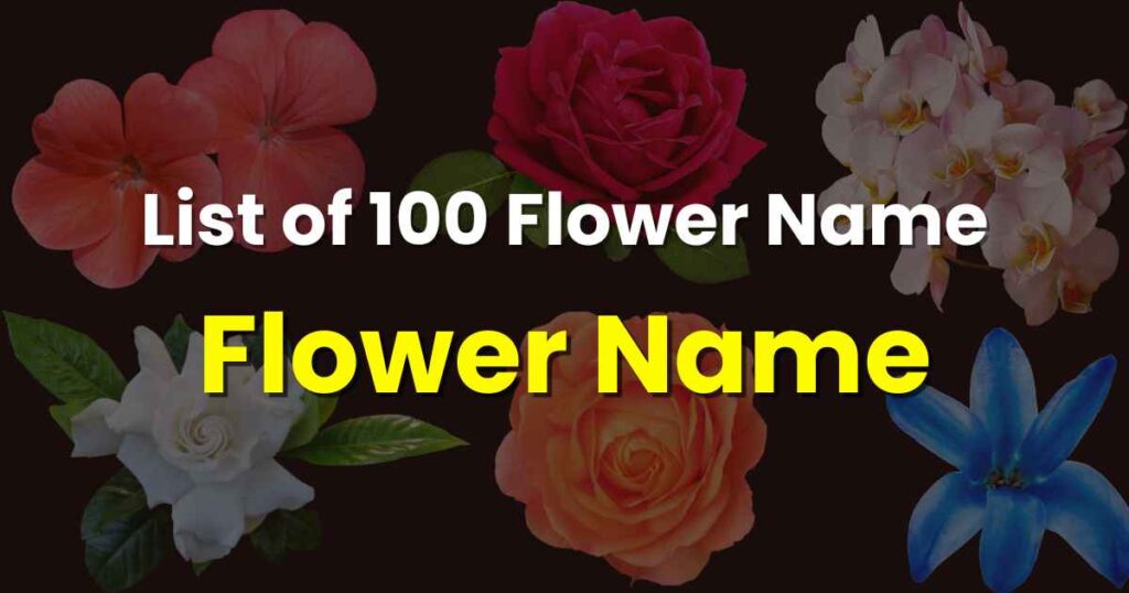 Flowers Name in Hindi and English